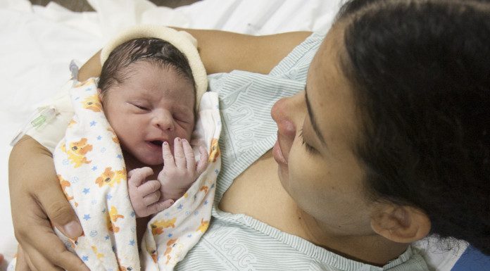 Componente químico Pyriproxyfen é apontado como causa da microcefalia