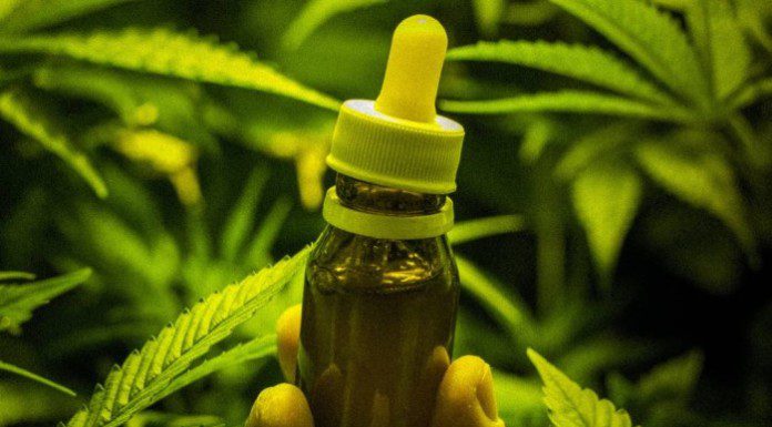 Anvisa cria regras para compra de canabidiol