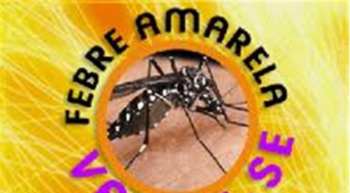 Ministério apura suspeita de febre amarela em Minas Gerais
