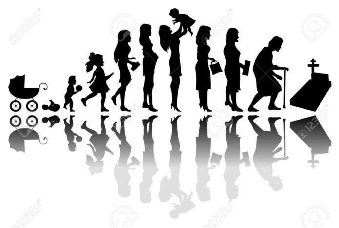 ciclo vida