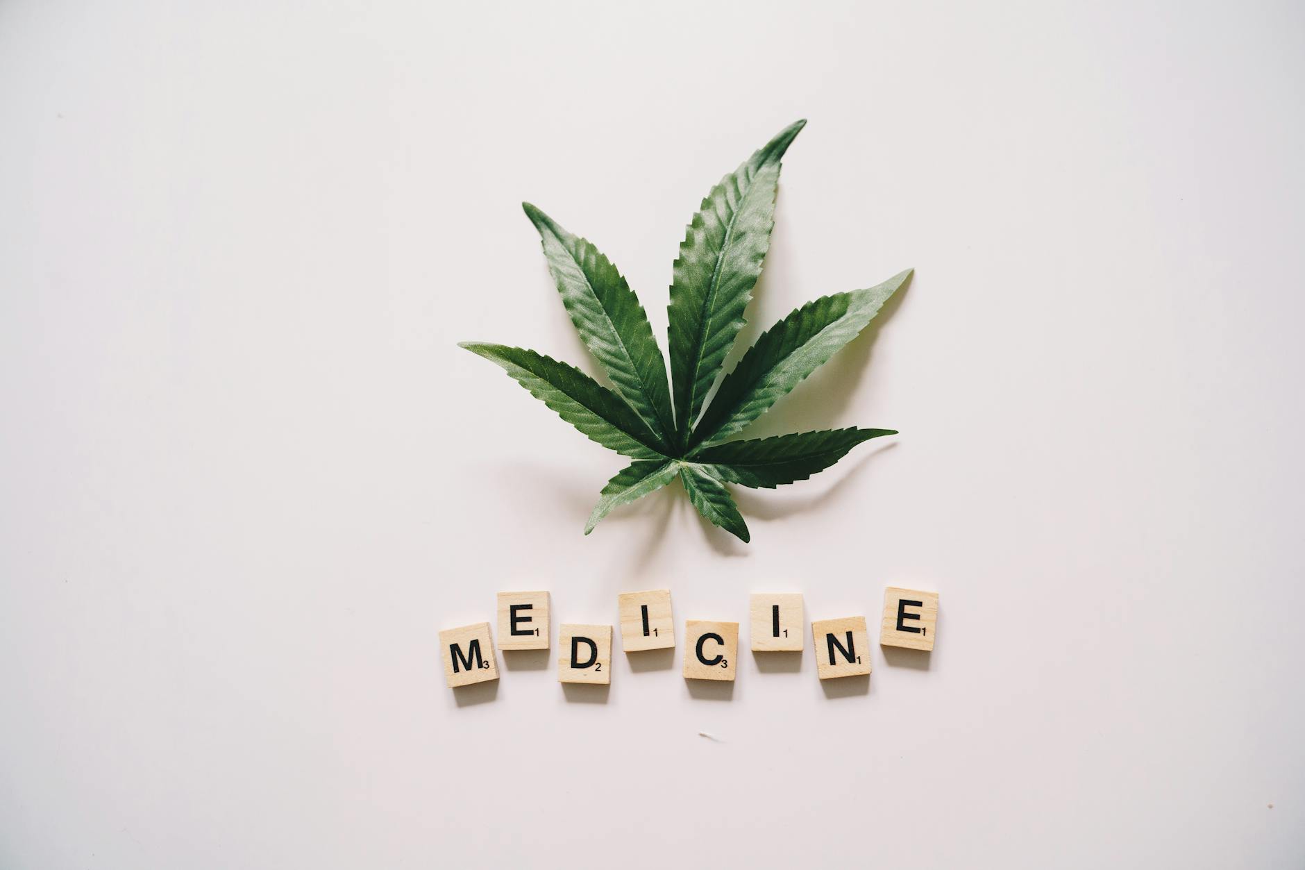 Avanço na Regulamentação: Estados Brasileiros Garantem Acesso Gratuito à Cannabis pelo SUS a cannabis leaf on a white background